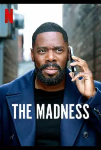 Помешательство (сериал 2024)